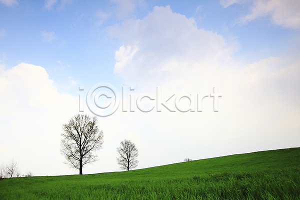 사람없음 JPG 포토 경기도 구름(자연) 나무 두그루 목장 뭉게구름 식물 안성 야외 자연 잔디 주간 초원(자연) 풀(식물) 풍경(경치) 하늘 한국