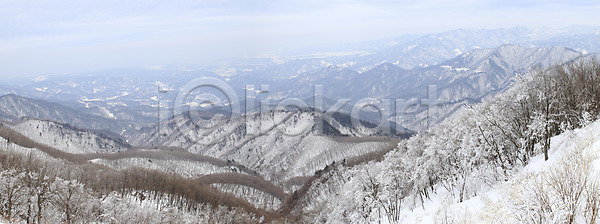 사람없음 JPG 포토 강원도 겨울 겨울산 계절 국내포토 나무 눈 대관령 사계절 산 산등성이 선자령 설경 식물 야외 자연 정상 주간 파노라마 풍경 한국
