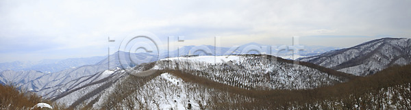 사람없음 JPG 포토 강원도 겨울 겨울산 계절 국내포토 나무 눈 대관령 사계절 산 산등성이 선자령 설경 식물 야외 자연 정상 주간 파노라마 풍경 한국