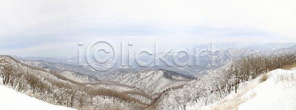 사람없음 JPG 포토 강원도 겨울 겨울산 계절 국내포토 나무 눈 대관령 사계절 산 산등성이 선자령 설경 식물 야외 자연 정산 정상 주간 파노라마 풍경 한국