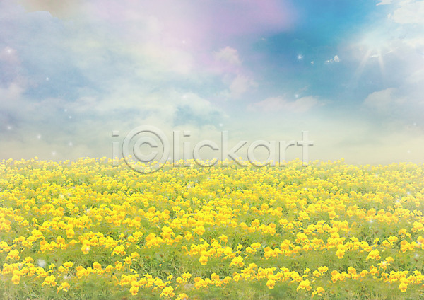 사람없음 JPG 포토 구름(자연) 꽃 꽃밭 노란색 백그라운드 식물 야외 자연 주간 초원(자연) 편집 풍경(경치) 하늘 합성 화초