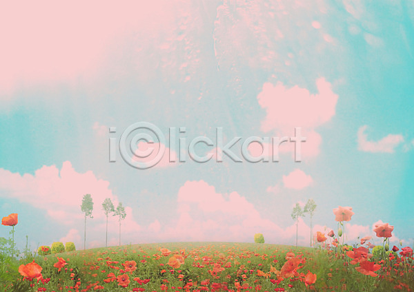 사람없음 JPG 포토 구름(자연) 꽃 꽃밭 백그라운드 식물 야외 자연 주간 초원(자연) 편집 풍경(경치) 하늘 합성 화초
