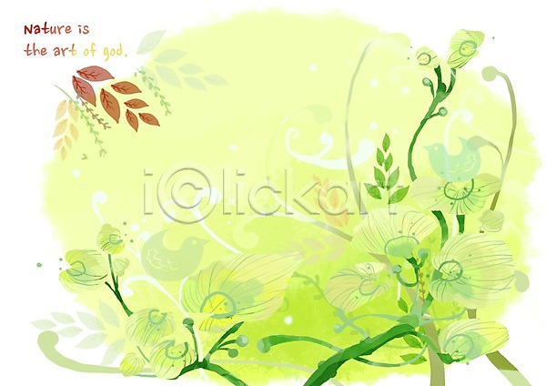 사람없음 PSD 일러스트 꽃 꽃백그라운드 꽃잎 동물 백그라운드 식물 잎 자연 자연백그라운드 조류 줄기 풍경(경치)