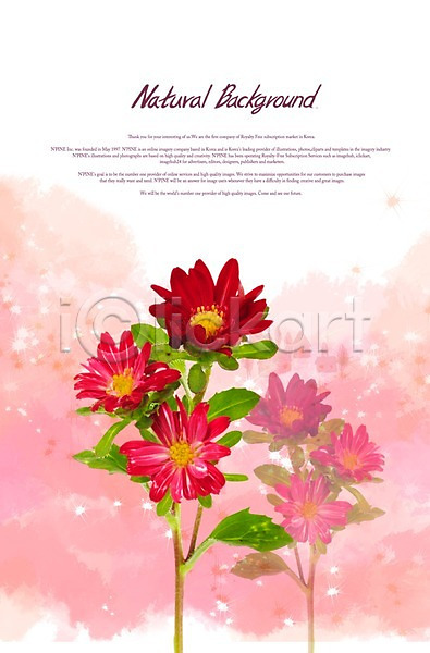 사람없음 PSD 편집이미지 계절 꽃 꽃백그라운드 백그라운드 봄 빨간색 식물 식물백그라운드 여러송이 잎 자연 줄기 컬러