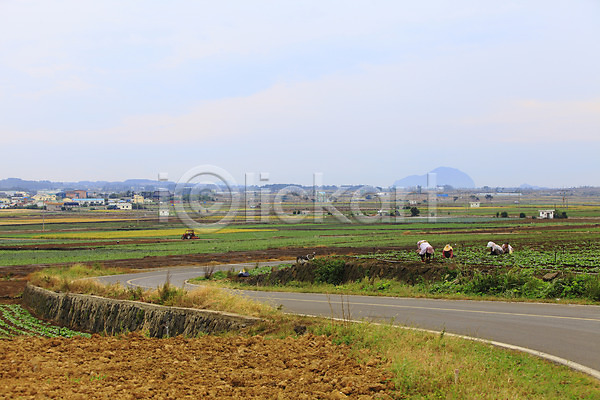 사람 여러명 JPG 포토 길 논 농경지 농부 농사 농업 농촌 도로 마을 밭 아스팔트(도로) 야외 제주도 주간 차도 커브길 트랙터 풍경(경치) 한국