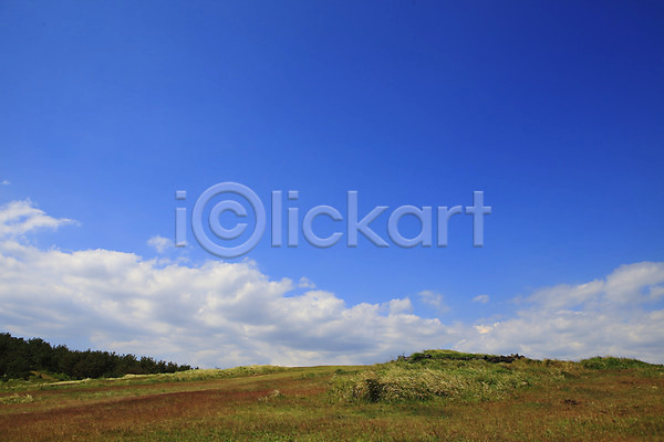 사람없음 JPG 포토 구름(자연) 나무 맑음 식물 야외 언덕 자연 제주도 주간 초원(자연) 풍경(경치) 하늘 한국