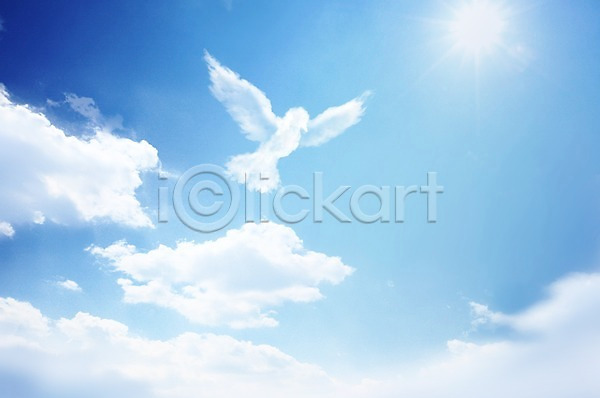 사람없음 PSD 편집이미지 구름(자연) 동물 모양 백그라운드 비둘기 야외 자연 자연요소 조류 주간 태양 풍경(경치) 하늘 해 햇빛