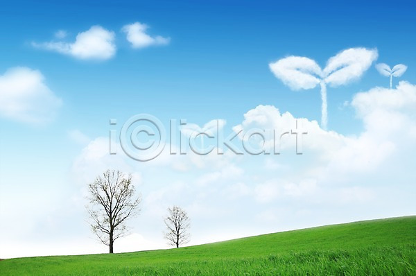 사람없음 PSD 편집이미지 구름(자연) 나무 모양 백그라운드 새싹 식물 야외 자연 자연요소 잔디 주간 초원(자연) 평원 풀(식물) 풍경(경치) 하늘