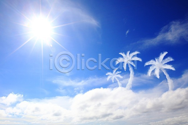 사람없음 PSD 편집이미지 구름(자연) 나무 모양 백그라운드 식물 야외 야자수 열대나무 자연 자연요소 주간 태양 풍경(경치) 하늘 해 햇빛