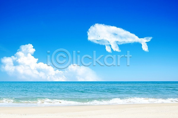 사람없음 PSD 편집이미지 고래 구름(자연) 동물 모양 바다 바다동물 백그라운드 야외 자연 자연요소 주간 풍경(경치) 하늘 해변