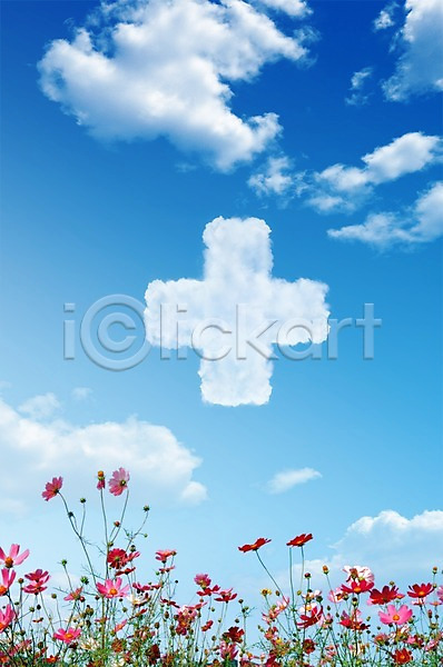 사람없음 PSD 편집이미지 구름(자연) 꽃 꽃밭 모양 백그라운드 식물 십자 십자가 야외 자연 자연요소 주간 코스모스(꽃) 풍경(경치) 하늘