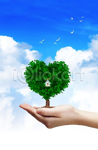 사랑 사람 신체부위 한명 3D PSD 편집이미지 구름(자연) 나무 동물 손 식물 조류 편집 하늘 하트 하트나무