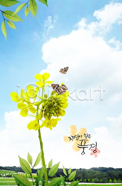 사람없음 PSD 편집이미지 곤충 구름(자연) 꽃 나무 나뭇가지 나뭇잎 나비 노란색 동물 백그라운드 식물 잎 자연 잔디 초원(자연) 컬러 풀(식물) 풍경(경치) 하늘 한송이