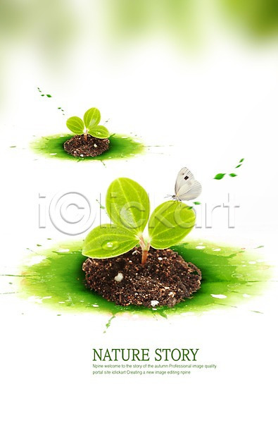 사람없음 PSD 편집이미지 곤충 나뭇잎 나비 동물 물방울 새싹 식물 잎 자연 초록색 풀(식물) 한마리 흙