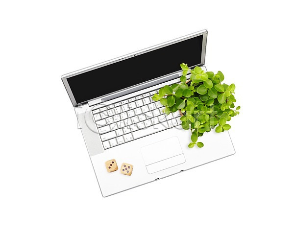 사람없음 PSD 포토아이콘 노트북 사각형 식물 오브젝트 잎 정사각형 주사위 컴퓨터 편집 합성 화분