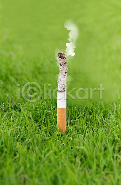 결심 사람없음 PSD 편집이미지 건강 건강관리 경고 금연 기호식품 담배 담배꽁초 담배연기 담뱃재 연기 잔디 초원(자연) 캠페인 편집 풀(식물) 한개비 흡연