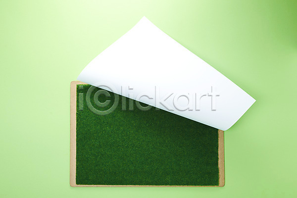 사람없음 JPG 포토 하이앵글 백그라운드 백지 스튜디오촬영 식물 식물백그라운드 실내 잔디 종이 초록색 초원(자연) 컬러 풀(식물) 프레임 흰색