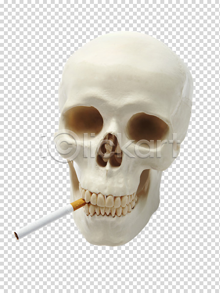 사람없음 PNG 편집이미지 건강 건강관리 경고 금연 담배 모형 물기(모션) 스튜디오촬영 실내 알림 오브젝트 인체모형 캠페인 편집소스 해골 해골모형 흡연