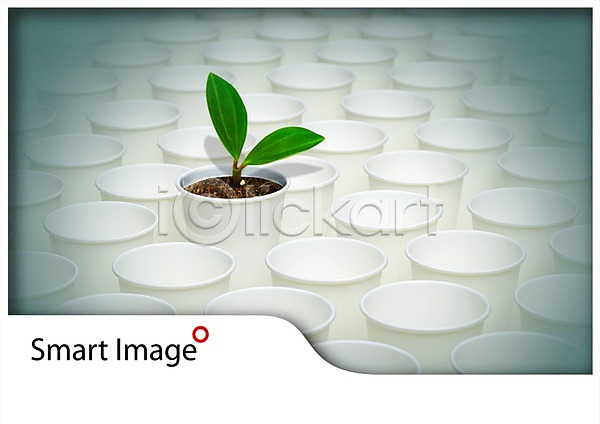 보호 사람없음 PSD 편집이미지 그린캠페인 다수 새싹 식물 잎 자연보호 종이컵 초록색 캠페인 컬러 컵 풀(식물) 흙