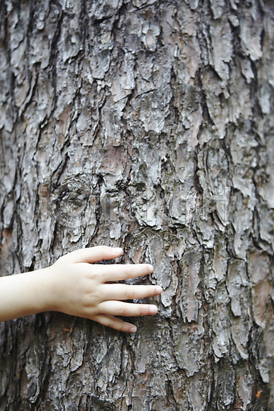 체험학습 사람 신체부위 어린이 어린이만 한명 JPG 포토 관찰 껍질 나무 나무껍질 만지기 손 손가락 손짓 식물 야외 자연 주간 표면