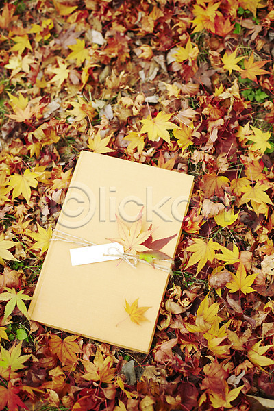사람없음 JPG 포토 가을(계절) 계절 낙엽 단풍 독서 백그라운드 식물 야외 오브젝트 잎 자연 주간 책 풍경(경치) 한권
