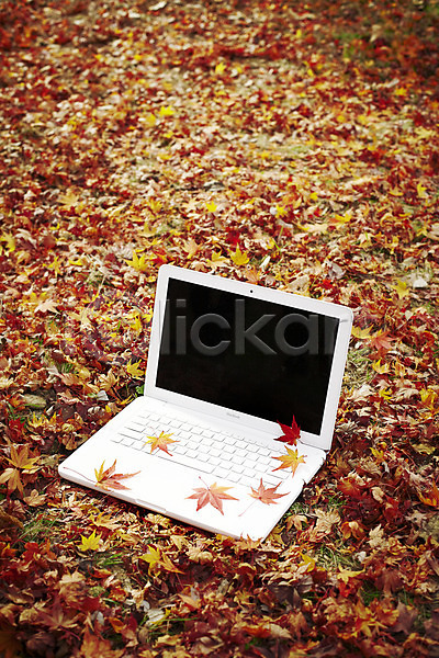 사람없음 JPG 포토 가을(계절) 계절 낙엽 노트북 단풍 백그라운드 식물 야외 오브젝트 잎 자연 주간 컴퓨터 풍경(경치)