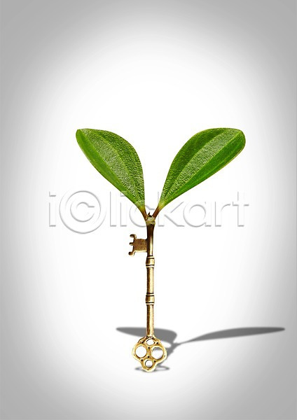 사람없음 PSD 편집이미지 보안 비즈니스 새싹 식물 안전 열쇠 잎 잠금 황금열쇠