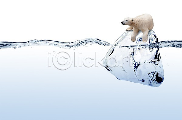 사람없음 PSD 편집이미지 곰 동물 물 물방울 물방울백그라운드 북극 북극곰 손상 얼음 오존층 캠페인 편집 포유류