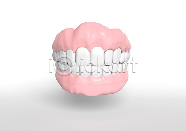 분석 사람없음 신체부위 3D PSD 입체 편집이미지 3D소스 그래픽 의학 인체모형 잇몸 치료 치아 치아모형 편집소스