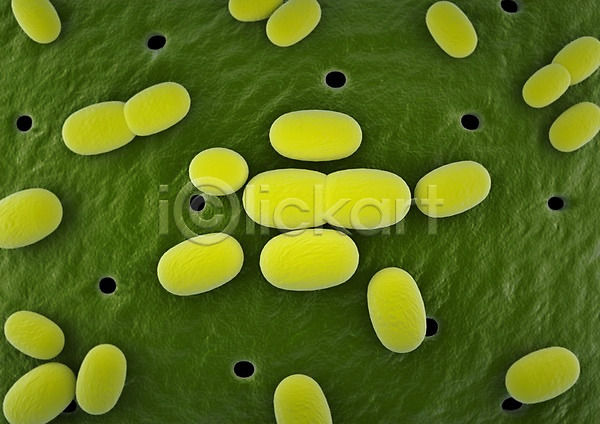 분석 사람없음 3D PSD 입체 편집이미지 3D소스 감염 그래픽 노란색 둥근모양 모양 미생물 바이러스 박테리아 세포 의학 조직 질병 치료 편집소스 확대