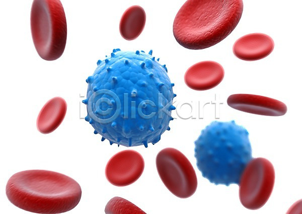 분석 사람없음 3D PSD 입체 편집이미지 3D소스 감염 그래픽 미생물 바이러스 박테리아 빨간색 세포 의학 적혈구 조직 질병 치료 파란색 편집소스 피 혈구 혈액