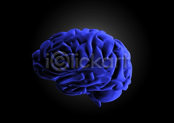 분석 사람없음 신체부위 3D PSD 입체 편집이미지 3D소스 그래픽 뇌 두뇌 신경기관 의학 인체모형 장기(의학) 치료 투시 편집소스 해부