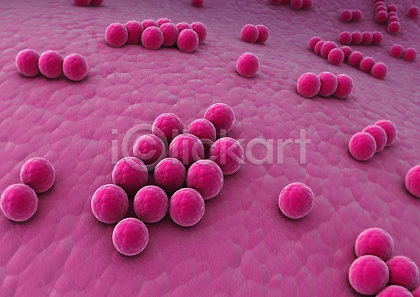 분석 사람없음 3D PSD 입체 편집이미지 3D소스 감염 그래픽 둥근모양 모양 미생물 바이러스 박테리아 분홍색 세포 의학 조직 질병 치료 편집소스 확대