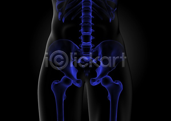 분석 사람없음 신체부위 3D PSD 입체 편집이미지 3D소스 골격 골반 골반뼈 그래픽 뼈 엉덩이 엉덩이뼈 의학 인체모형 치료 투시 편집소스 해부