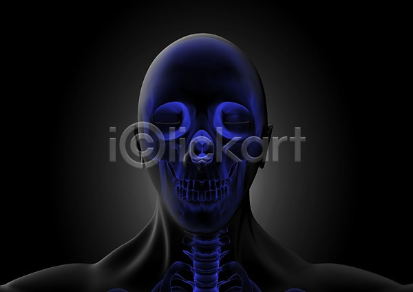 분석 사람없음 신체부위 3D PSD 입체 편집이미지 3D소스 골격 귀 그래픽 눈(신체부위) 두뇌 두상 머리 뼈 상반신 의학 인체모형 치료 치아 코 투시 편집소스 해골 해부