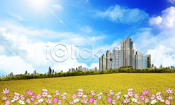 사람없음 3D PSD 로우앵글 편집이미지 가을(계절) 건물 계절 구름(자연) 꽃 꽃밭 빌딩 식물 언덕 초원(자연) 코스모스(꽃) 편집 풍경(경치) 하늘