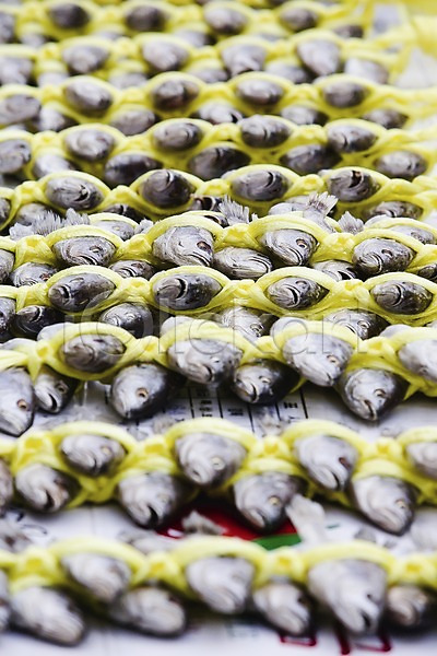 사람없음 JPG 포토 굴비 끈 낙원상가 다수 두름 묶기 백그라운드 상품 식재료 야외 여러개 엮은 음식 전시 조기(생선) 종로 주간 판매 한국