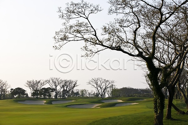 사람없음 JPG 포토 경기장 골프장 나무 모래 벙커(골프장) 식물 야외 잔디 제주도 주간 풍경(경치) 필드 하늘 한국
