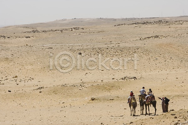 사람 여러명 JPG 포토 건축 교통수단 낙타 동물 모래 백그라운드 사막 아스완 야외 외국문화 유적 이집트 주간 중동 초원(자연) 풍경(경치) 해외 해외풍경