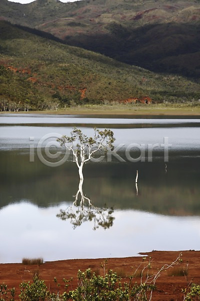 사람없음 JPG 포토 강 나무 뉴칼레도니아 반사 백그라운드 산 식물 야외 오세아니아 자연 주간 풍경(경치) 해외 해외풍경 호수 휴양지