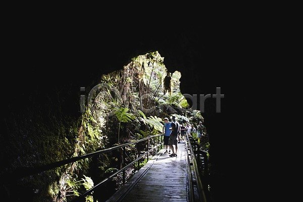 사람 여러명 JPG 포토 길 나무 남태평양 동굴 식물 야외 여행 여행객 열대식물 열대우림 용암동굴 울타리 주간 트래킹 풍경(경치) 하와이 해외 해외풍경