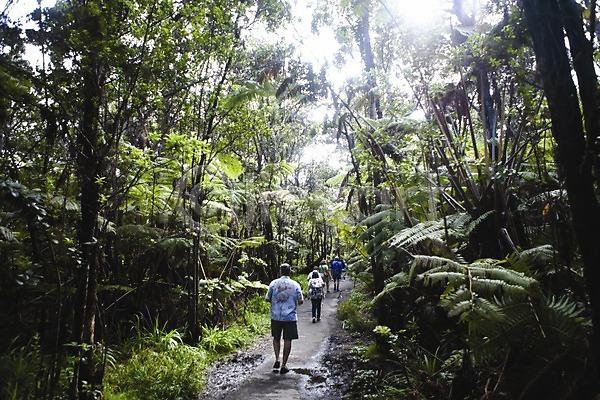 사람 여러명 JPG 뒷모습 포토 길 나무 남태평양 식물 야외 여행 여행객 열대식물 열대우림 주간 트래킹 풍경(경치) 하와이 해외 해외풍경
