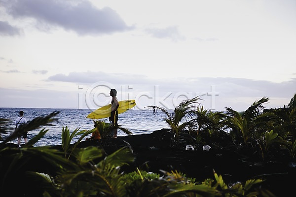 남자 남자만 두명 사람 JPG 포토 나무 남태평양 들기 레저 바다 백그라운드 서퍼 서핑 서핑보드 수상스포츠 스포츠 식물 야외 자연 장비 주간 풍경(경치) 하와이 해외 해외풍경 휴양지
