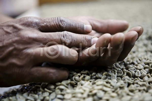 선택 사람 신체부위 JPG 아웃포커스 포토 다수 백그라운드 손 손짓 식물 여러개 원두 주간 커피