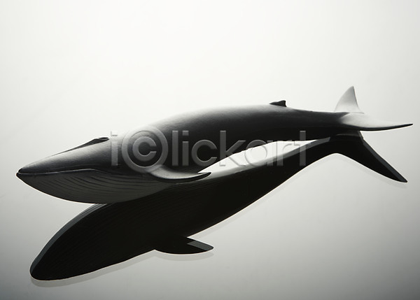사람없음 JPG 포토 고래 그림자 동물 모형 백그라운드 수중동물 스튜디오촬영 실내 오브젝트 장난감 장식
