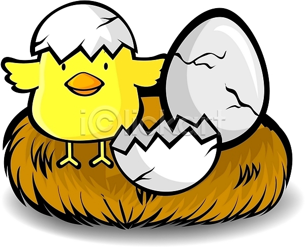 사람없음 EPS 일러스트 가축 계란 닭 닭캐릭터 동물 동물캐릭터 둥지 병아리 부화 새캐릭터 십이지신 애니멀프린트 조류 척추동물 출산 캐릭터 한마리