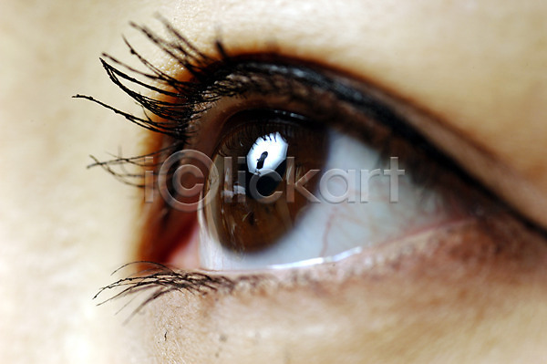 사람 신체부위 한명 JPG 근접촬영 포토 눈(신체부위) 눈동자 눈썹 눈화장 마스카라 속눈썹 스튜디오촬영 신체 실내 쌍꺼풀 아이라인 올려보기 피부