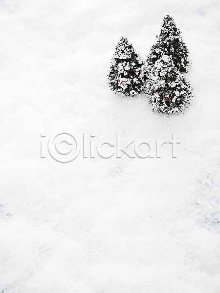사람없음 JPG 포토 겨울 계절 나무 눈(날씨) 모형 미니어처 백그라운드 스튜디오촬영 식물 실내 오브젝트 장난감