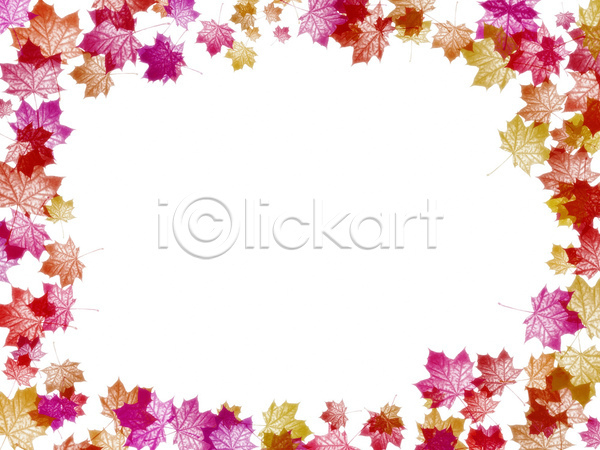 사람없음 JPG 포토 해외이미지 가을(계절) 나무 단풍 백그라운드 벽지 빨간색 잎 컬러풀 프레임 해외202004