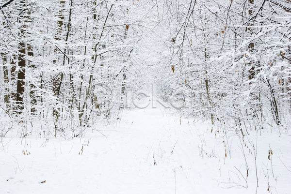 사람없음 JPG 포토 해외이미지 겨울 겨울풍경 눈(날씨) 눈덮임 산속 야외 자연 주간 해외202004